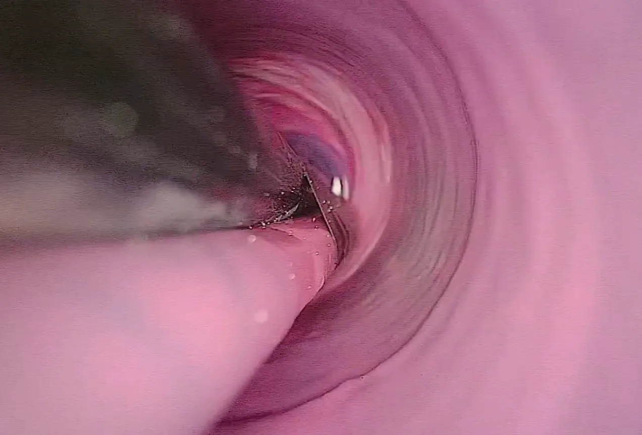 Nodig ProLight2 Double Press stroj